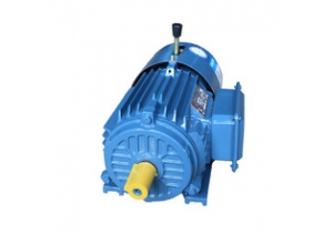 電磁制動(dòng)電機(jī)