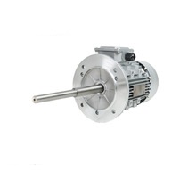 定制加長(zhǎng)軸電機(jī)